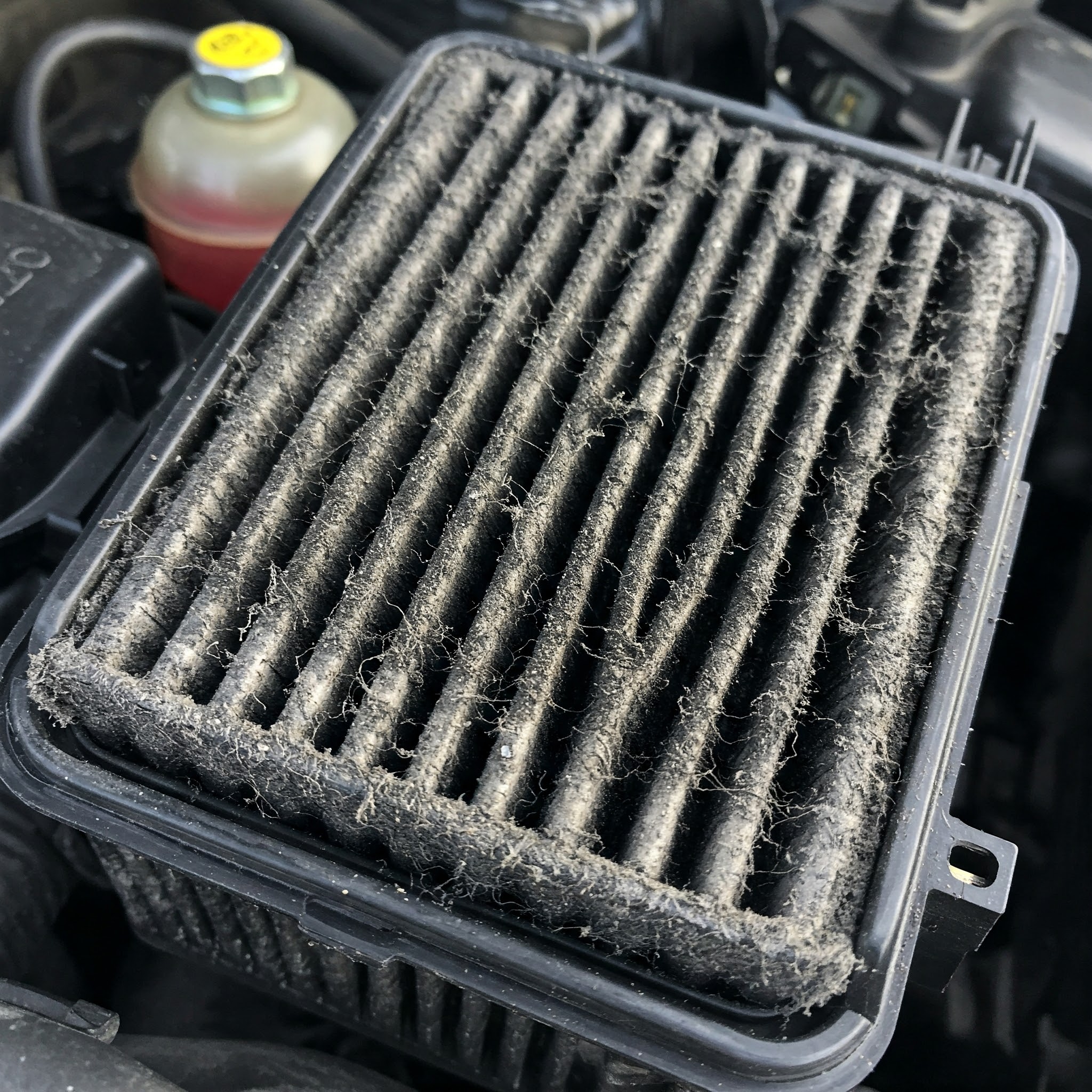 Dirty Air Filter